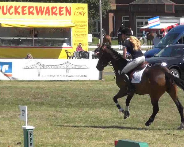 Nord-Ost-Pferd 2013