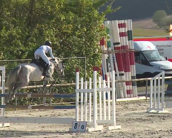 Reitturnier Großbardorf/Ufr. 2024