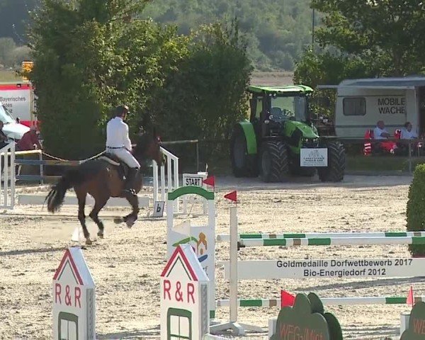 Reitturnier Großbardorf/Ufr. 2024