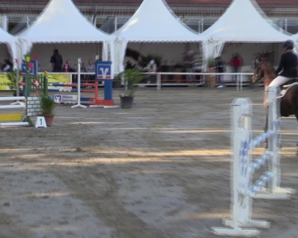 Reitturnier Werne 2024
