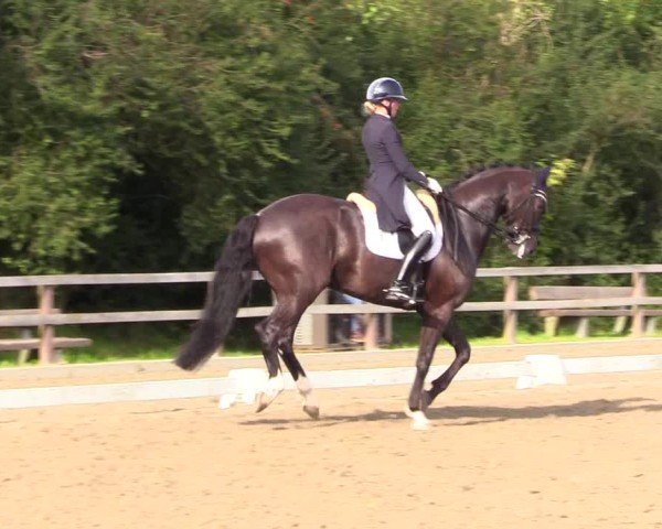 Reitturnier Kleinsolter Turniertage 2024