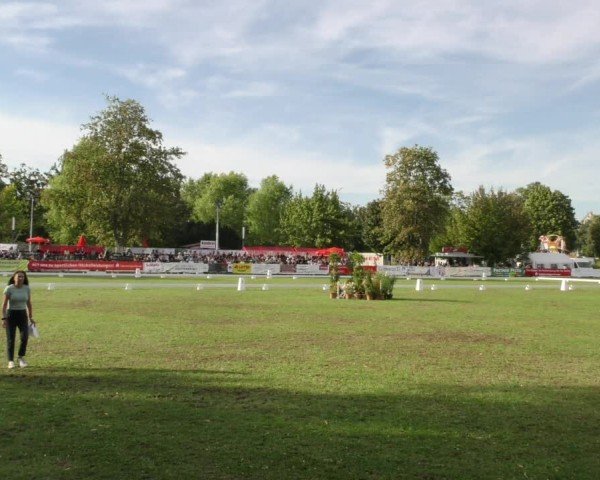 Reitturnier Aschersleben 2024