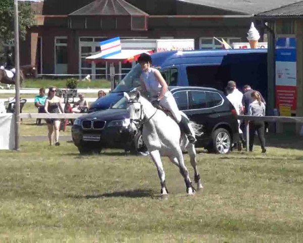 Nord-Ost-Pferd 2013