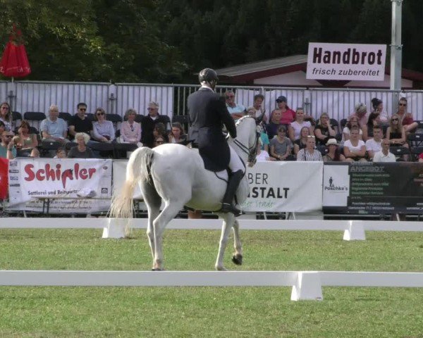 Reitturnier Aschersleben 2024