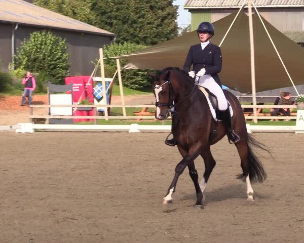 Reitturnier Kleinsolter Turniertage 2024