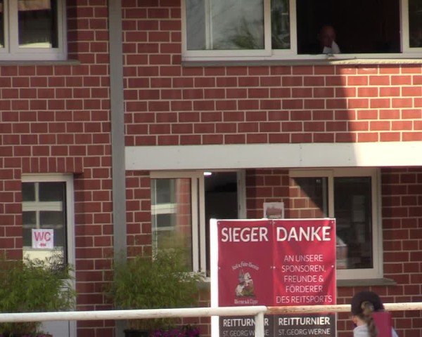 Reitturnier Werne 2024