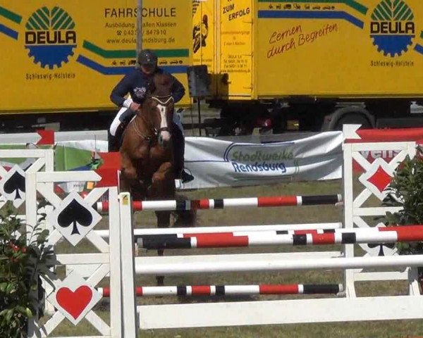 Reitturnier Rendsburg 2013