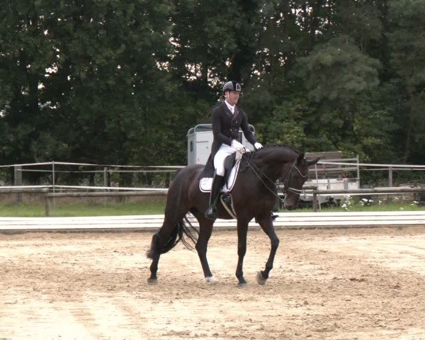 Reitturnier Ostbevern 2024