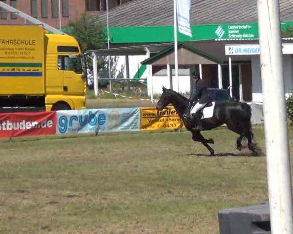Reitturnier Rendsburg 2013