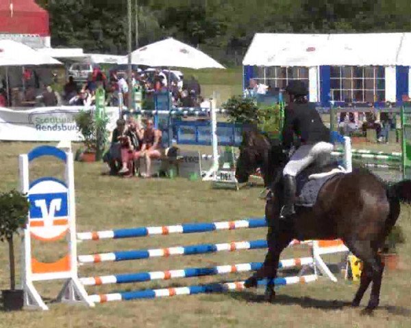 Reitturnier Rendsburg 2013