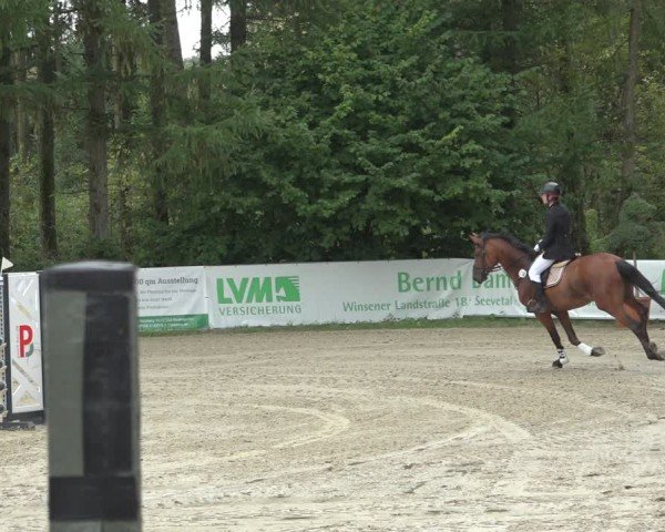 Reitturnier Sieversen - Rosengarten 2024