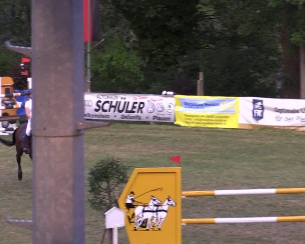 Reitturnier Lengenfeld/Vogtl. 2024