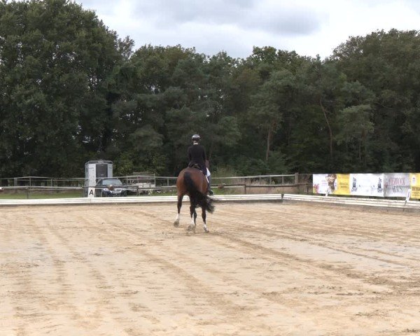 Reitturnier Ostbevern 2024