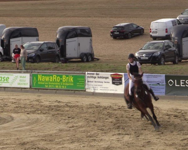 Reitturnier Duderstadt 2024
