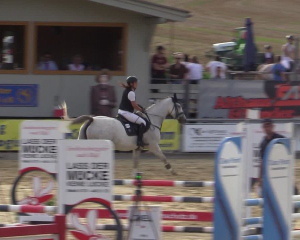 Reitturnier Duderstadt 2024