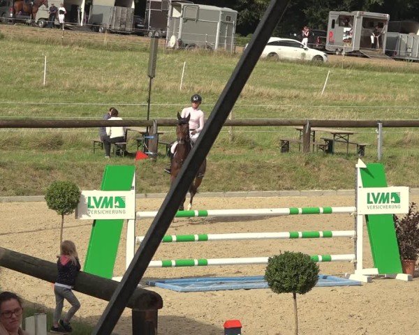 Reitturnier Sieversen - Rosengarten 2024