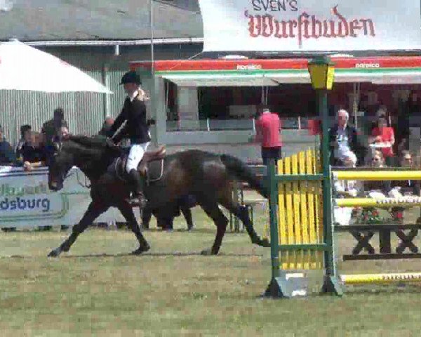 Reitturnier Rendsburg 2013