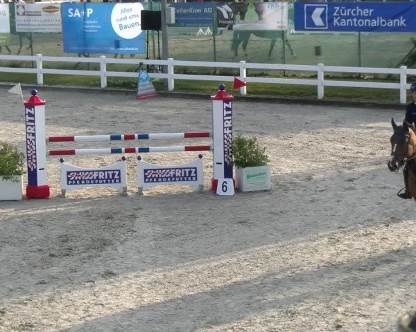 Reitturnier Hüntwangen 2024