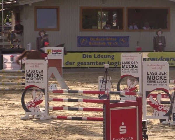 Reitturnier Duderstadt 2024