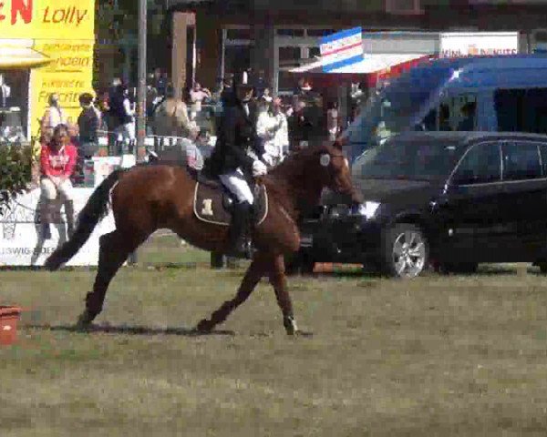 Reitturnier Rendsburg 2013