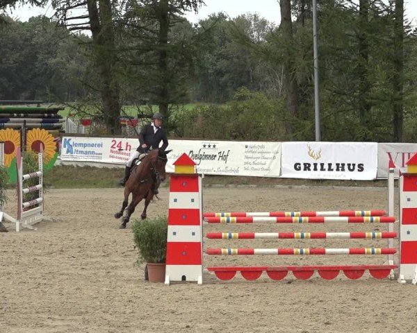 Reitturnier Sieversen - Rosengarten 2024
