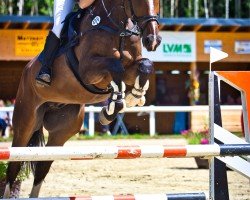 jumper Oreo 27 (KWPN (Royal Dutch Sporthorse), 2019, from Bacardi II VDL)