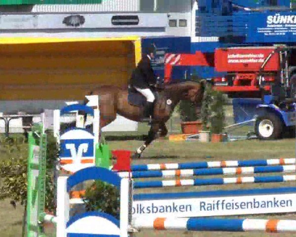 Nord-Ost-Pferd 2013