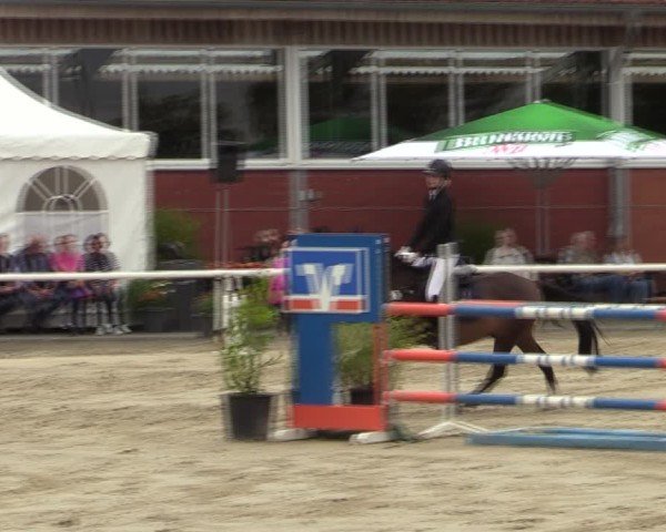 Reitturnier Werne 2024