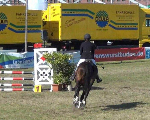 Reitturnier Rendsburg 2013