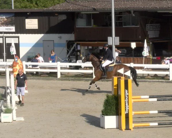 Reitturnier Hüntwangen 2024