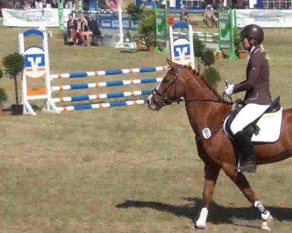 Jezdecký turnaj Rendsburg 2013