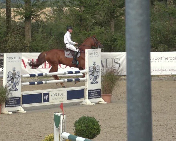 Reitturnier Sieversen - Rosengarten 2024