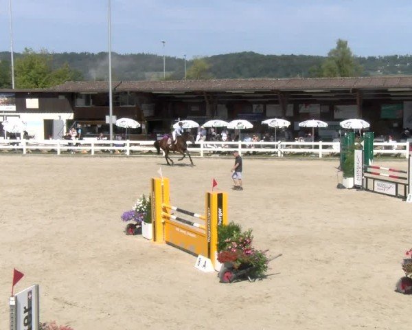 Reitturnier Hüntwangen 2024
