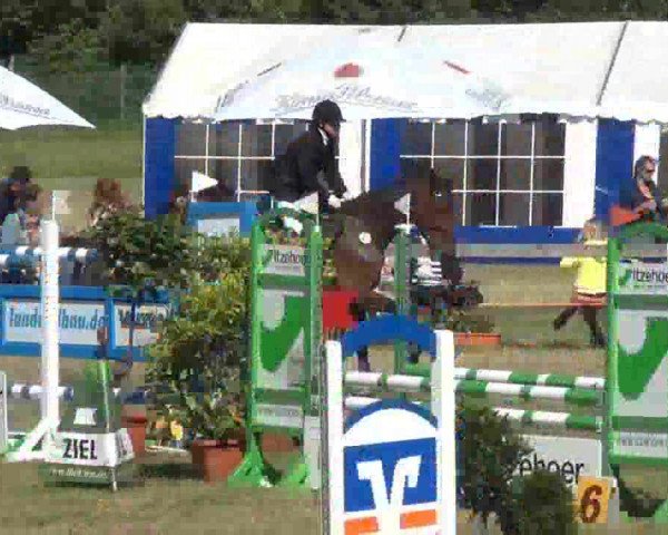 Reitturnier Rendsburg 2013