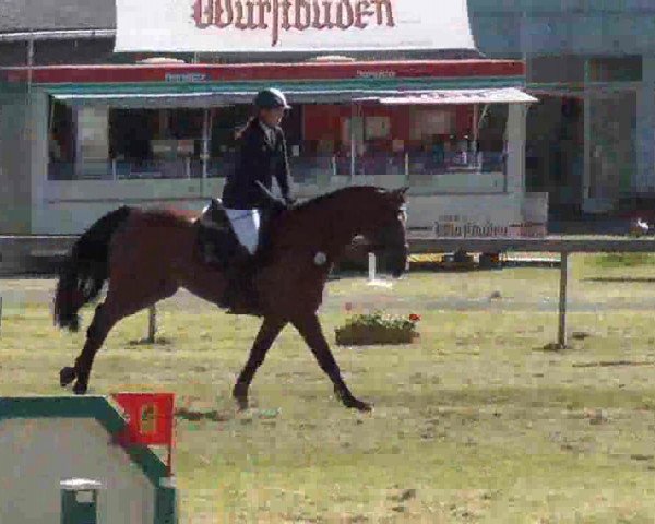 Nord-Ost-Pferd 2013