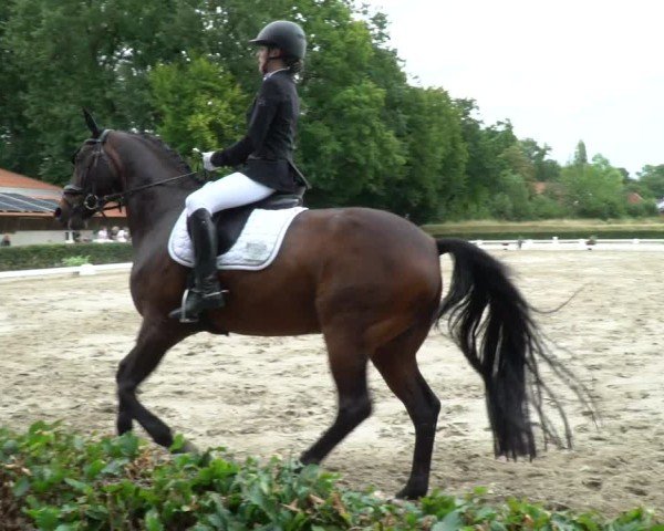 Reitturnier Werne 2024