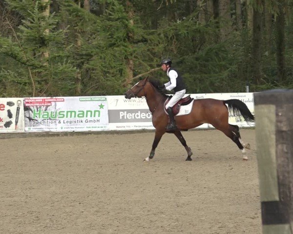 Reitturnier Sieversen - Rosengarten 2024