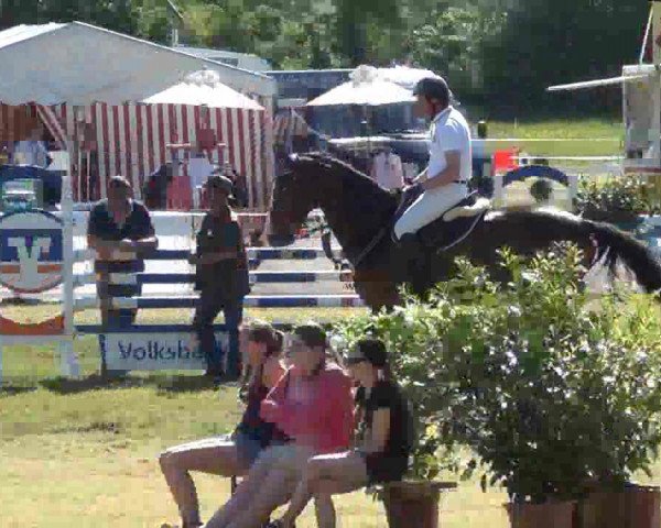 Reitturnier Rendsburg 2013