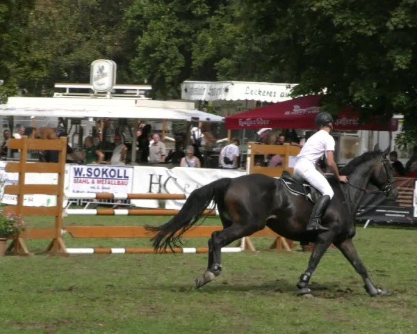 Reitturnier Aschersleben 2024