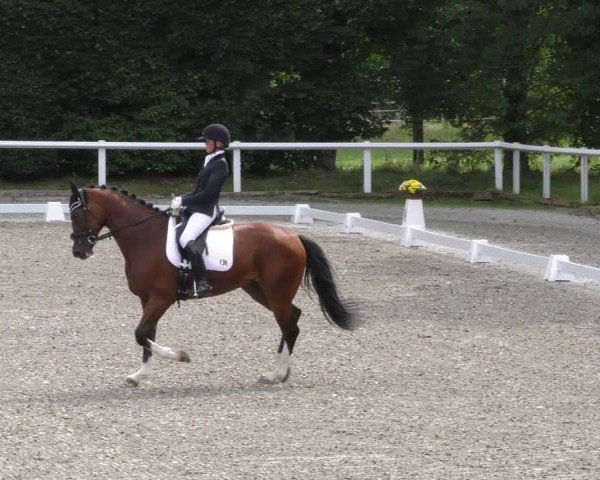 Reitturnier Zillhofen/Obb. 2024