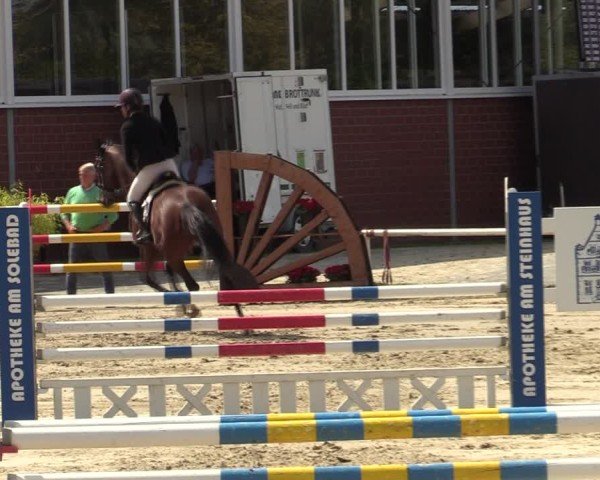 Reitturnier Werne 2024