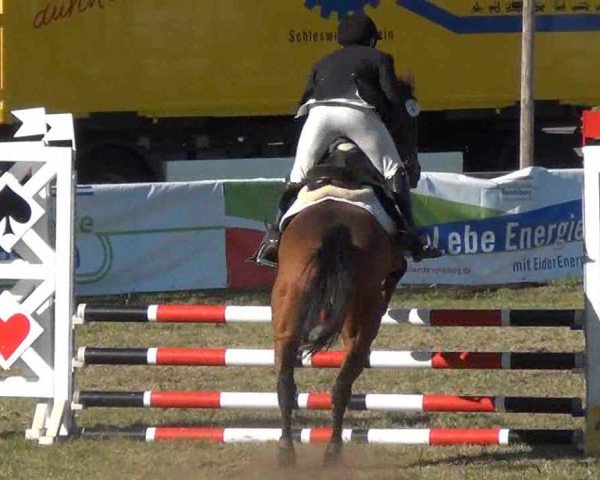 Reitturnier Rendsburg 2013