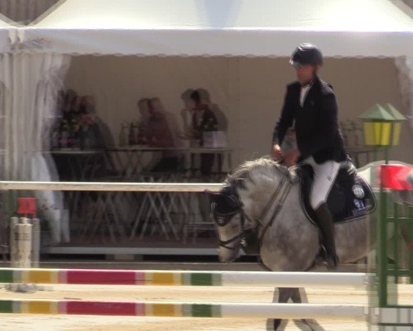 Reitturnier Werne 2024