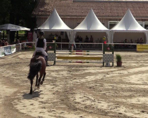 Reitturnier Werne 2024