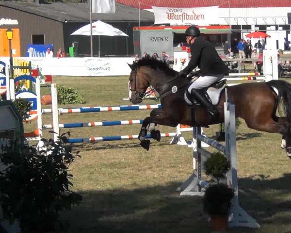 Reitturnier Rendsburg 2013