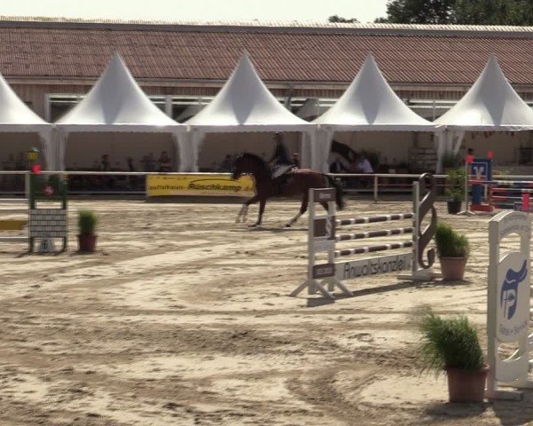 Reitturnier Werne 2024