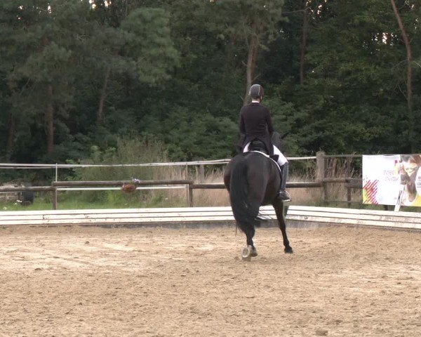 Reitturnier Ostbevern 2024