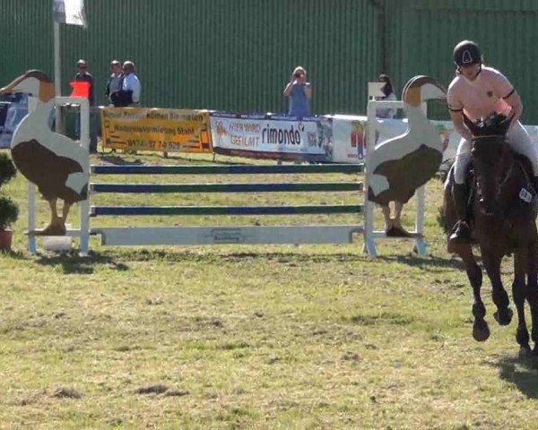 Nord-Ost-Pferd 2013