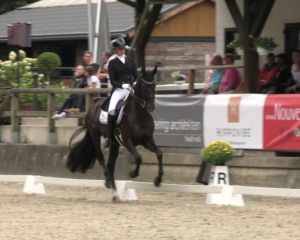 Reitturnier Solingen 2024