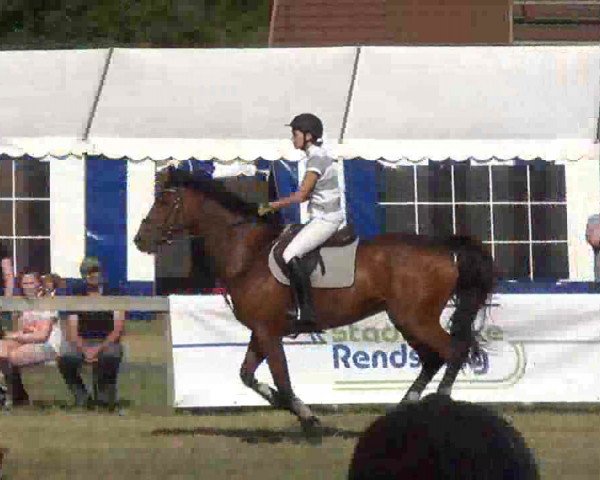 Nord-Ost-Pferd 2013